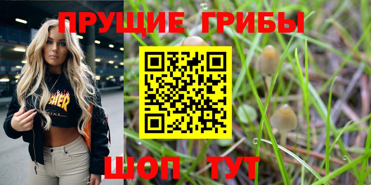 Псилоцибиновые грибы ЛСД  Вход с VPN  Кудрово 