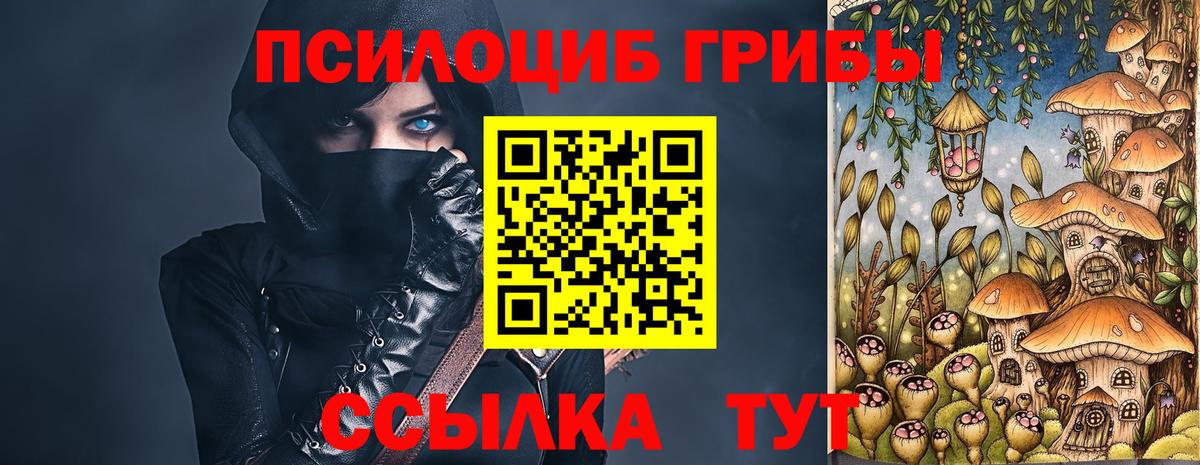 Псилоцибиновые грибы Cubensis Кудрово